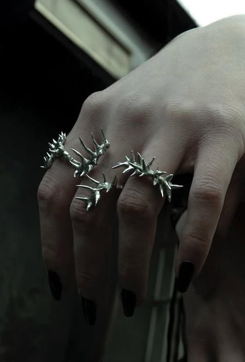 Relict_centipede014