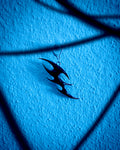 Blue Void 3