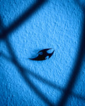 Blue Void 001